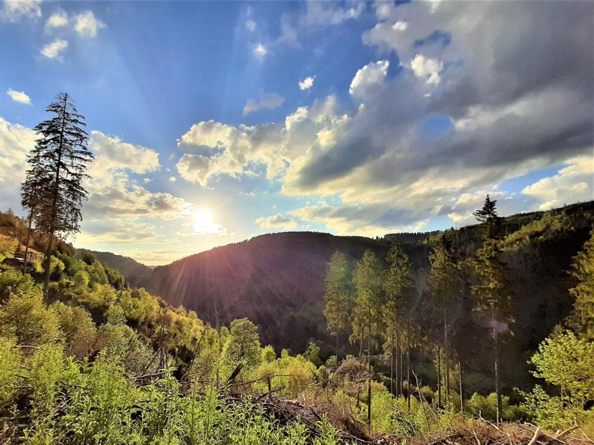 Harz Hotel Iris Sieber Kültér fotó
