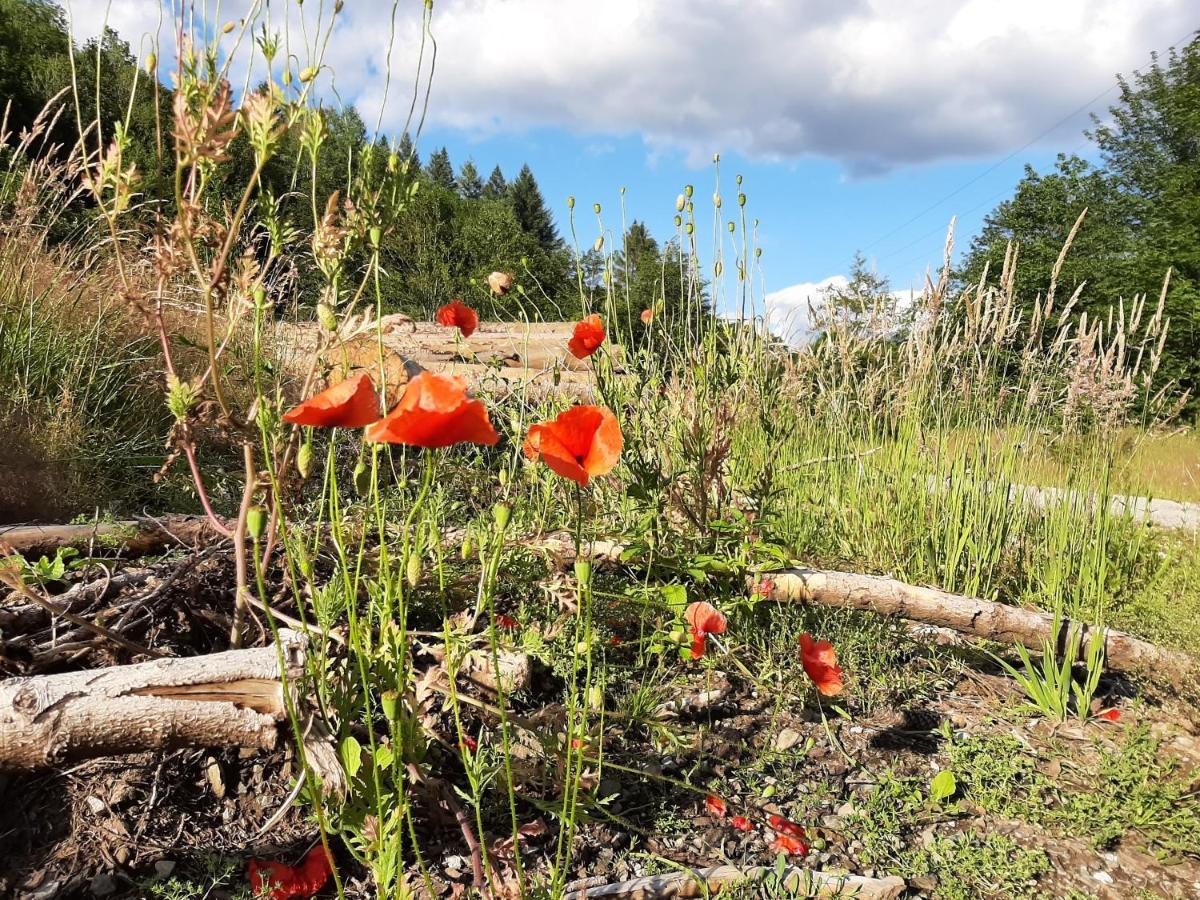 Harz Hotel Iris Sieber Kültér fotó