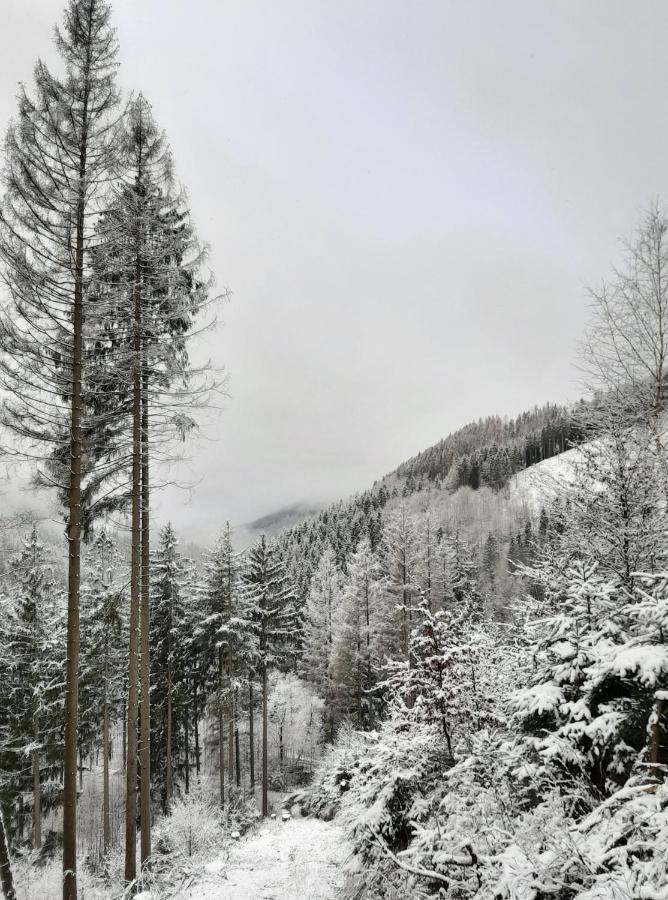 Harz Hotel Iris Sieber Kültér fotó