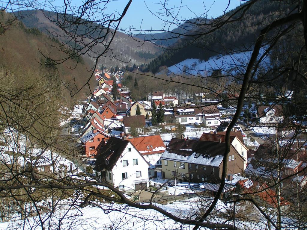 Harz Hotel Iris Sieber Kültér fotó