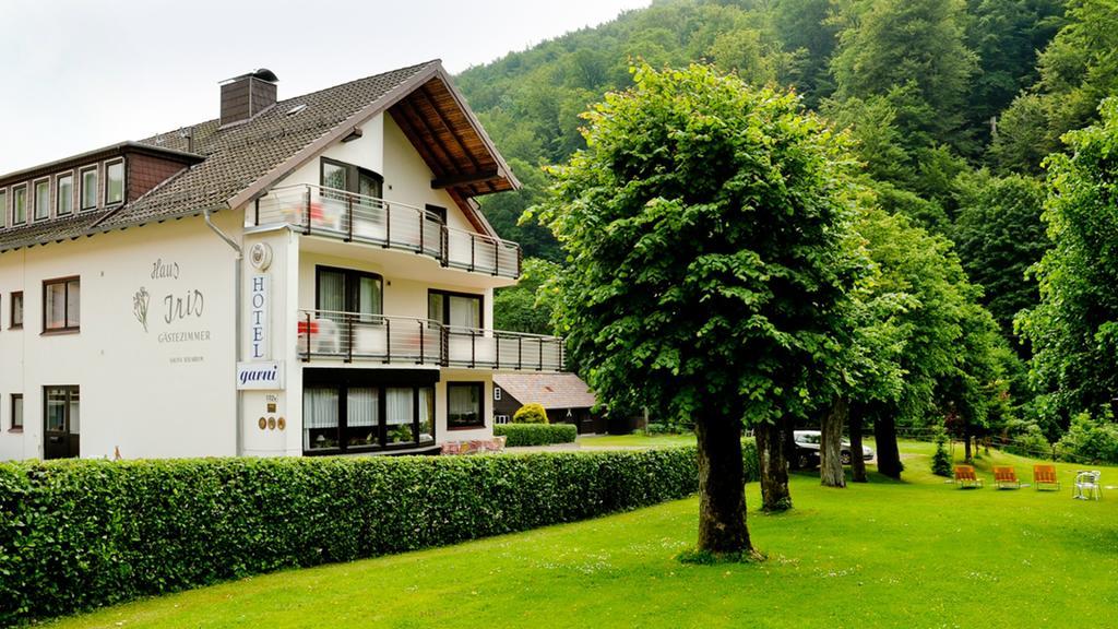 Harz Hotel Iris Sieber Kültér fotó