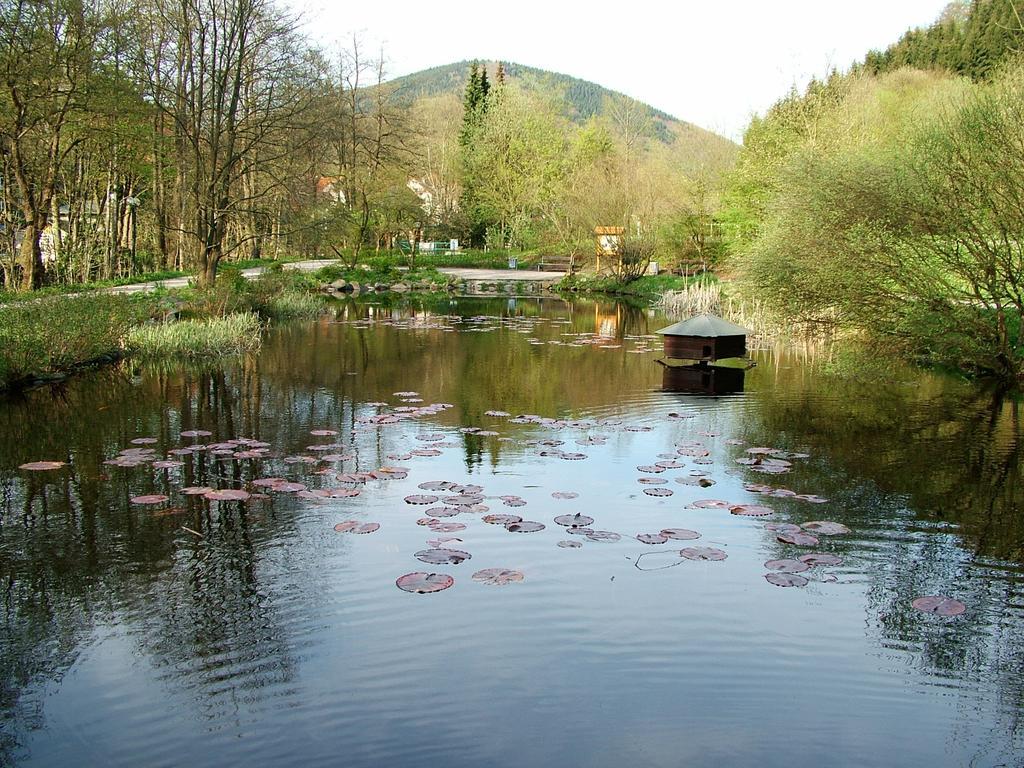 Harz Hotel Iris Sieber Kültér fotó