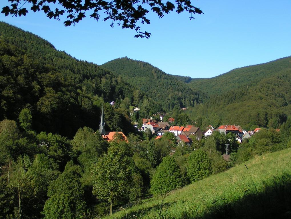 Harz Hotel Iris Sieber Kültér fotó