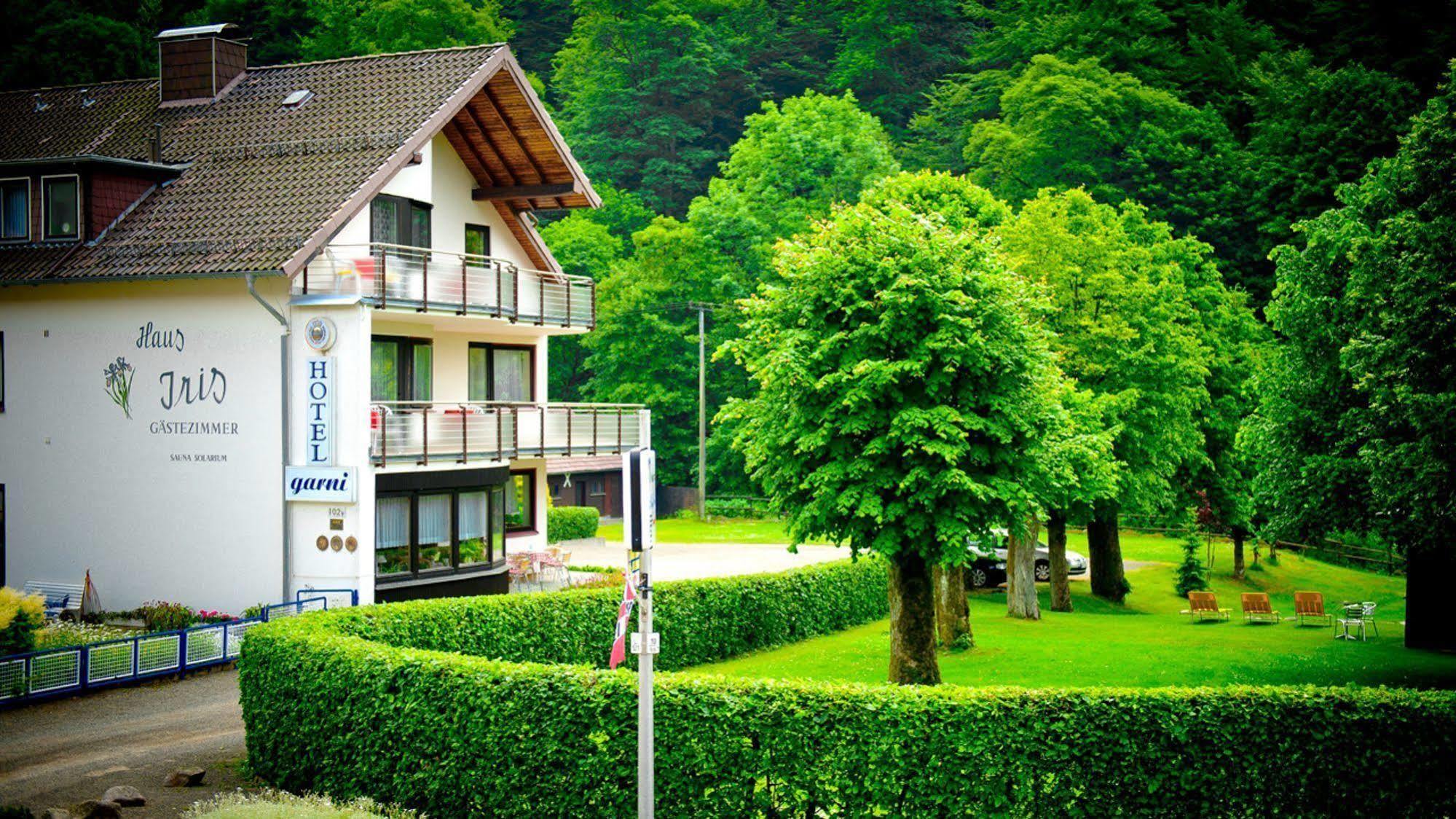 Harz Hotel Iris Sieber Kültér fotó